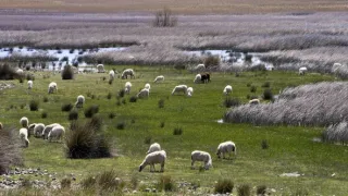 Chorvatsko, poklady Jadranu