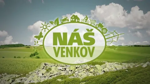 Sláma, les a školka