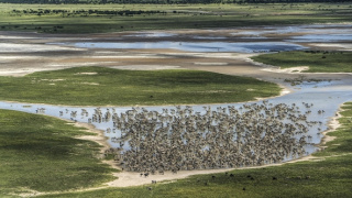Okavango - rieka snov (3/4)