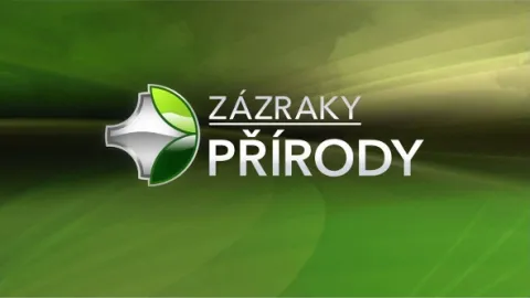 Zázraky přírody