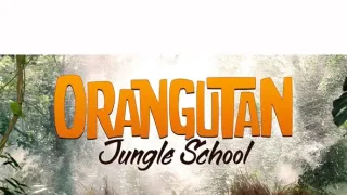 Orangutaní škola v džungli (1)