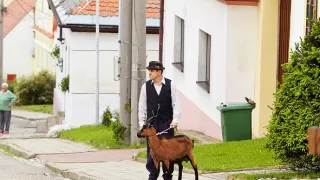Vinaři (3)