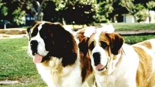 Beethoven 2