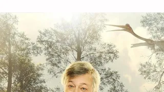 Dinosauři se Stephenem Fryem (1)