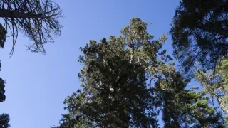 Zázračná planeta: Zelená planeta (3/5)