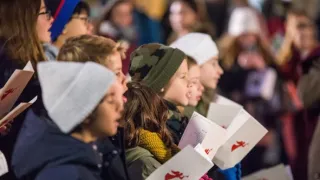 Bob, az utcamacska karácsonya