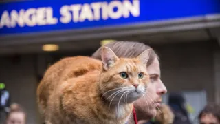 Bob, az utcamacska karácsonya