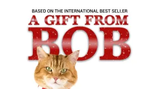 Bob, az utcamacska karácsonya