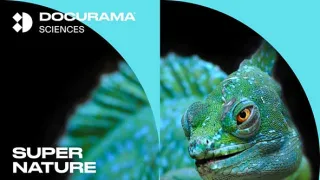 Příroda - úžasný zdroj inspirace (2/3)