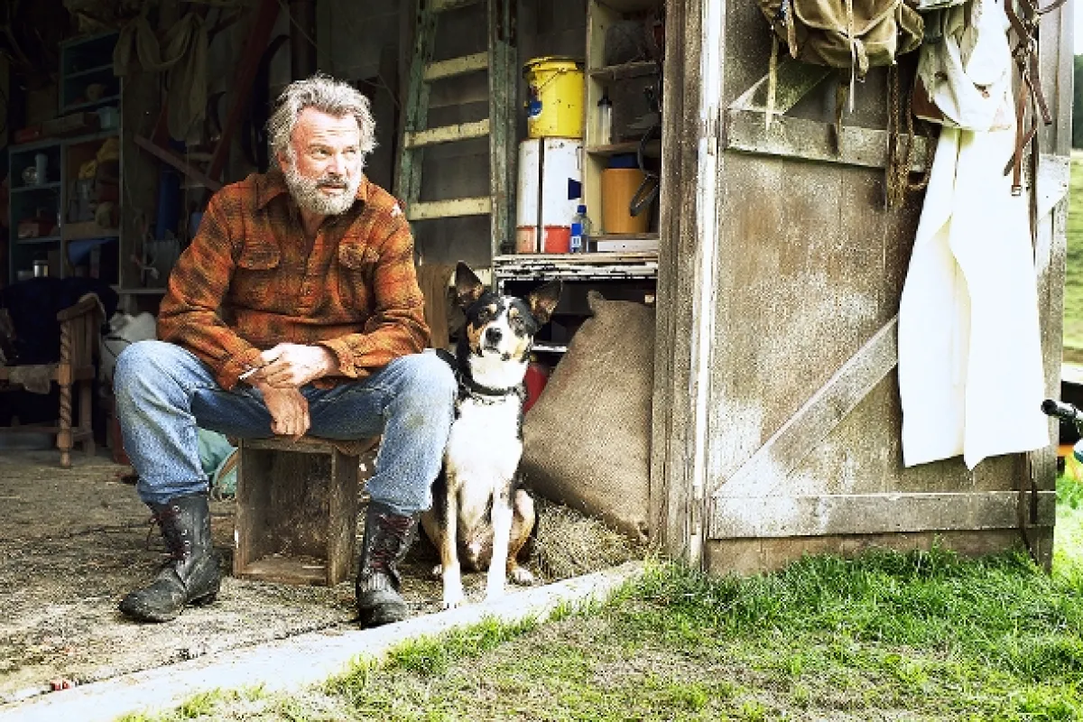 Honba na pačlovekov (Hunt for the Wilderpeople), 2016 - fotogaléria