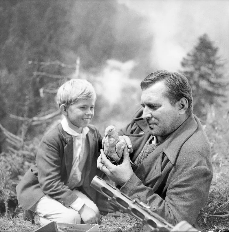 Pieseň o sivom holubovi, 1961 - fotogaléria