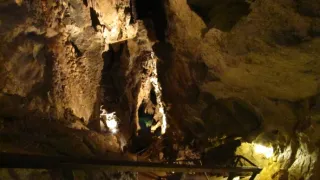 Divočina bez hranic