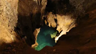 Divočina bez hranic