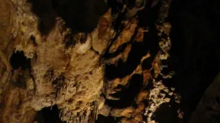 Divočina bez hranic