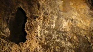 Divočina bez hranic
