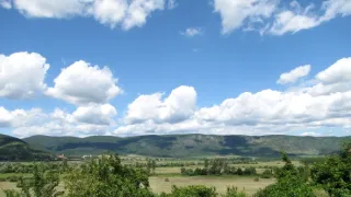 Divočina bez hranic