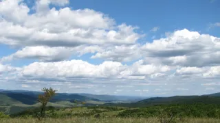 Divočina bez hranic