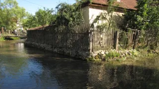 Divočina bez hranic