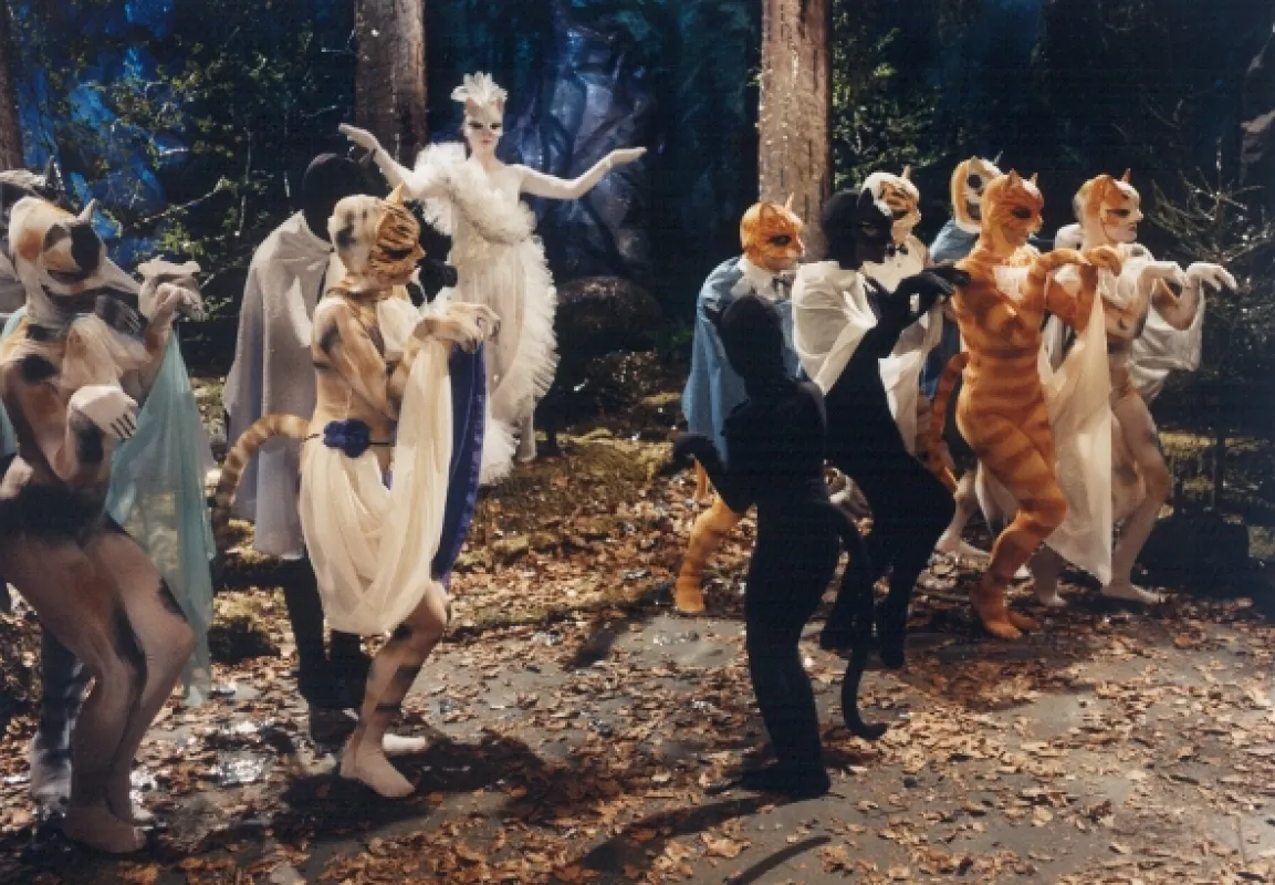 Kočičí ples, 1989 - fotogaléria