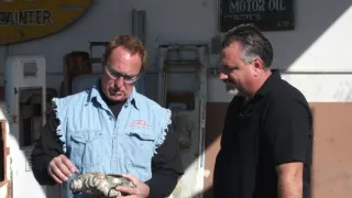 Mistři renovací III (2)