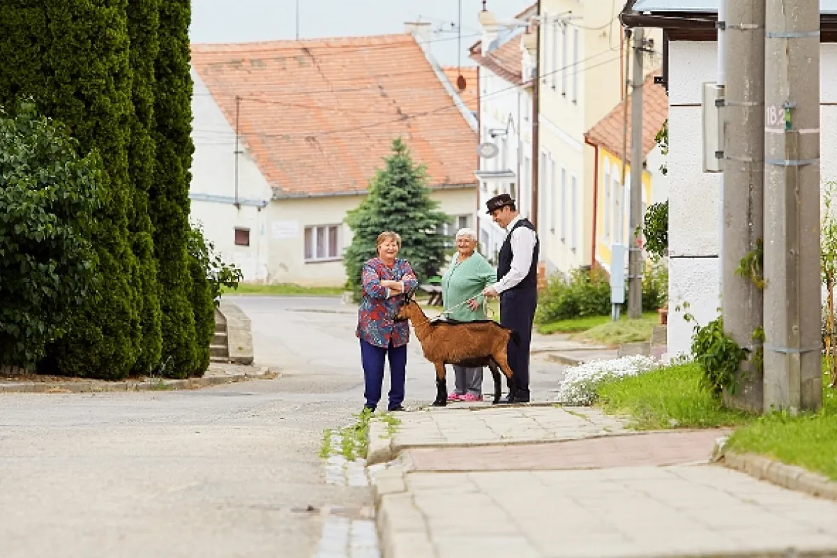 Vinaři, 2014 - fotogaléria