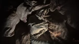 Tajomstvá starovekých civilizácií