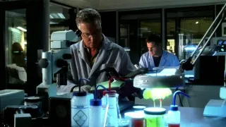 CSI: A helyszínelők III (8)