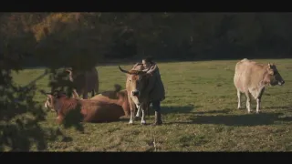 Jaká je cena masa