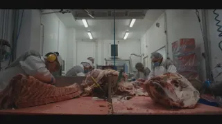 Jaká je cena masa