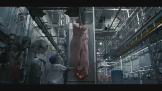 Jaká je cena masa