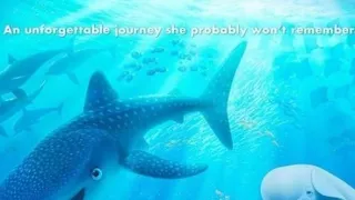 Hľadá sa Dory