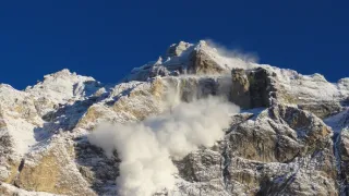 Vianoce v divokej prírode