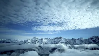 Vianoce v divokej prírode