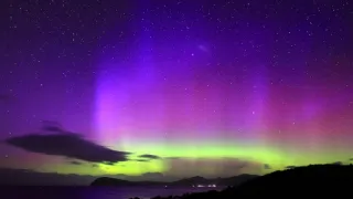 Vianoce v divokej prírode