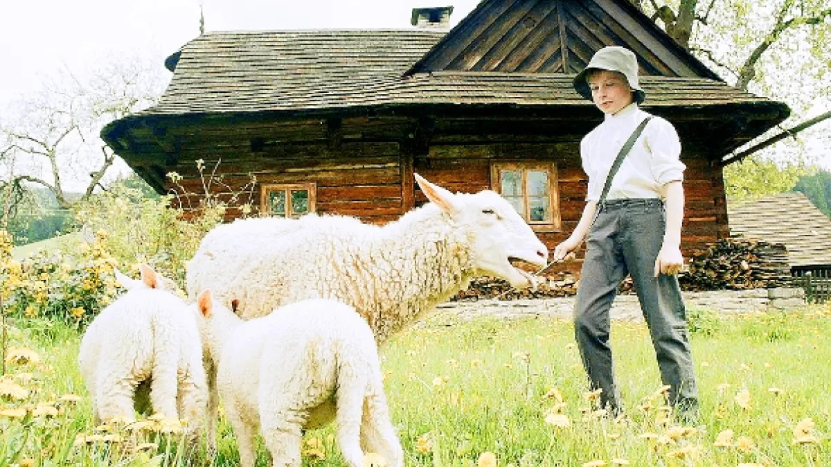 Dedo (Děda), 2016 - fotogaléria