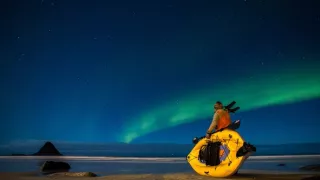 Moudrost velryb