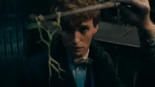 Legendás állatok - Dumbledore titkai