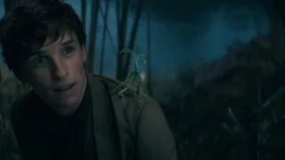 Legendás állatok - Dumbledore titkai