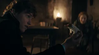Legendás állatok - Dumbledore titkai