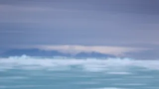 David Attenborough: Lov (4)