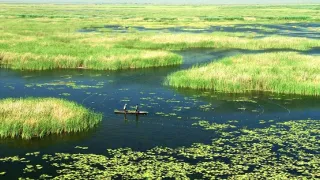 Afrikou letom svetom