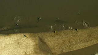 Afrikou letom svetom