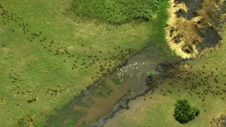 Afrikou letom svetom