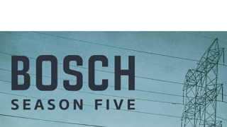 Bosch V (2)