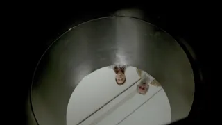 El Reina: Královnino muzeum umění