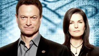 CSI: New York-i helyszínelők VIII (17)