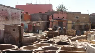 Sto divov sveta (6/13)