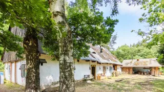 Farma Česko (9)