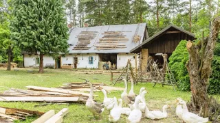 Farma Česko (9)