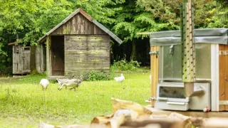 Farma Česko (9)